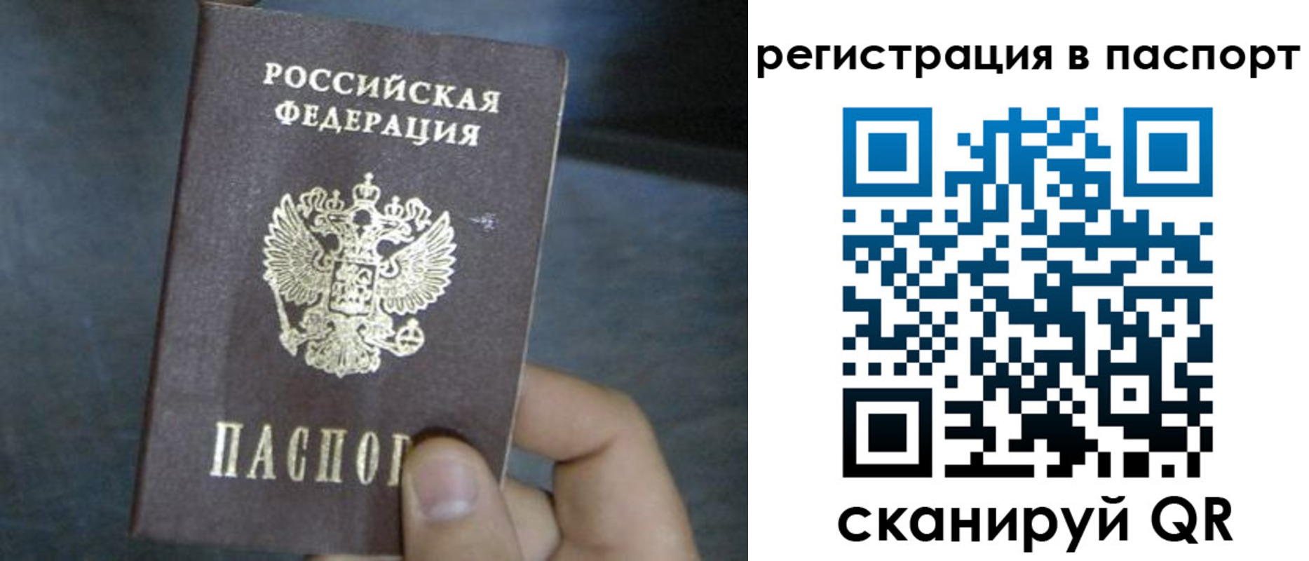 прописка 2025 в Ельце